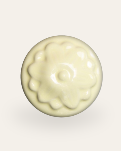 Sand dollar